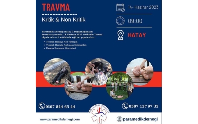 TRAVMA EĞİTİMİ